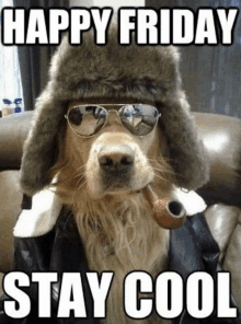 Cool Dog GIF - Cool Dog GIFs