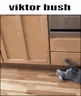 a cat is laying on its back under a cabinet with the name viktor bush written above it