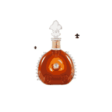 louisxiiicognac bottle