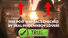 a poster that says this post was fact checked by real phoenixboy lovers