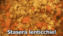 Lenticchie Legumi Stasera Lenticchie Zuppetta Cibo GIF - Lentils Legume Tonight We Eat Lentils GIFs
