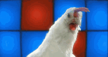 Techno Chicken GIF - Techno Chicken Dance GIFs