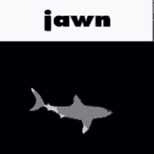 Jawn Shark GIF
