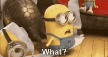 What Wtf GIF - What Wtf Minions GIFs