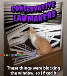 a cat is looking out a window with blinds and the words conservative lawmakers above it