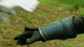 a person wearing a black glove with a blue sleeve is standing in the grass