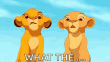 What The Lion King GIF - What The Lion King Simba GIFs