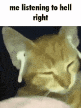 a cat is wearing ear buds and sleeping .
