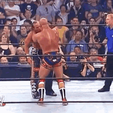 shawn michaels sweet chin music stone cold
