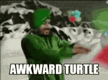 Awkward Turtle GIF - Awkward Turtle GIFs