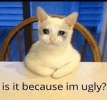 Is It Because I I Am Ugly GIF