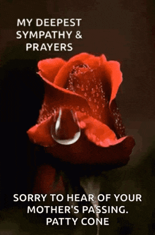 sympathy deepest sorry for your loss prayers rose