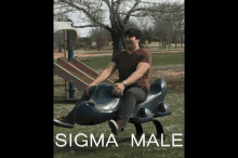 Sigma Male Sigma Croc GIF - Sigma Male Sigma Croc Croc GIFs