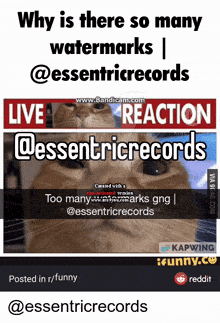 why is there so many watermarks @essentricrecords live reaction