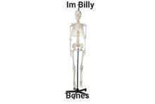 Billy Billybones GIF - Billy Billybones Meme GIFs