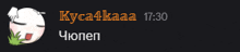 a screenshot of a chat with kyca4kaaa at the top
