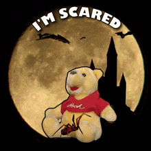 a winnie the pooh stuffed animal with a spider and the words " i 'm scared "