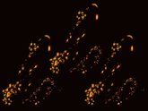 the word phop is written in flames on a dark background