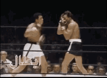 Fight Boxing GIF - Fight Boxing Ali GIFs