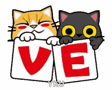 Cat Love GIF - Cat Love Animated GIFs