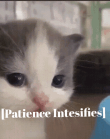 Patience GIF - Patience GIFs