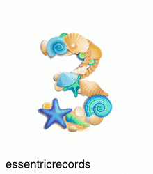 the number 3 is made up of flowers and has the word essentrirecords underneath it