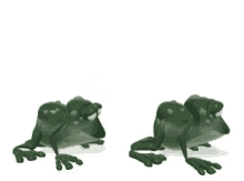 frog leap frog