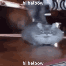 Hi Helbow Cat GIF - Hi Helbow Cat Helbow GIFs
