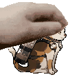 a pixel art of a cat being petted by a person 's hand .