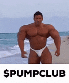 Pumpclub Pumpdotfun GIF - Pumpclub Pumpdotfun Pump Fun GIFs