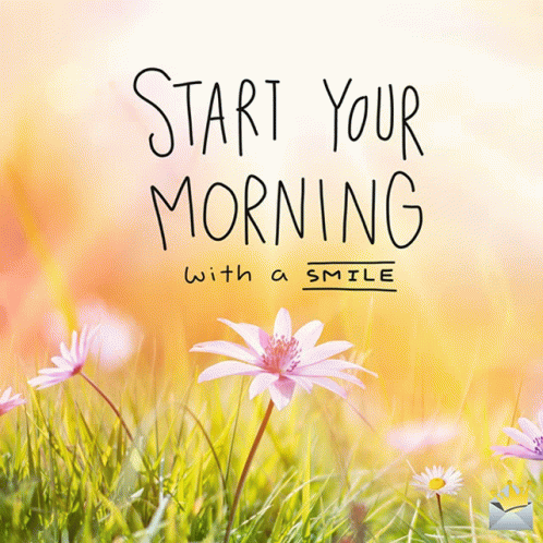 morning-morning-sunshine.gif