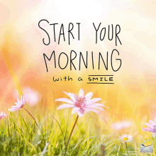 Morning Morning Sunshine GIF - Morning Morning Sunshine Flowers GIFs