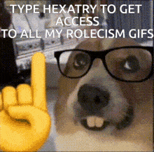 Rolecism Hexatry GIF - Rolecism Hexatry Nerd GIFs