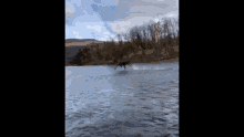 Mouse Walking On Water Confirmed GIF - Mouse Walking On Water Confirmed GIFs