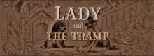 Lady Tramp GIF - Lady Tramp GIFs
