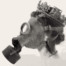 Royal Nose Royal GIF - Royal Nose Royal Gas Mask GIFs