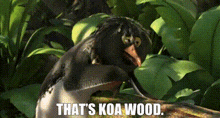 Surfs Up Koa Wood GIF - Surfs Up Koa Wood Thats Koa Wood GIFs
