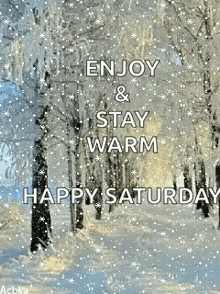 a snowy forest with trees covered in snow and the words `` enjoy & stay warm ''