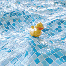 duck pool rubberduck waves