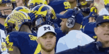 Harbaugh Happy GIF - Harbaugh Happy Yes GIFs