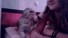 Please Come Here GIF - Cat Kisses Kiss Me GIFs