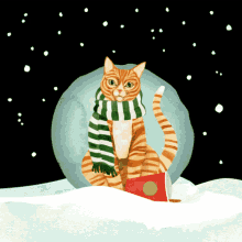 winter cold christmas cat