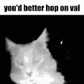 Valorant Cat GIF