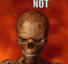 Skeleton Deepwoken GIF - Skeleton Deepwoken Ronaldogenerak GIFs
