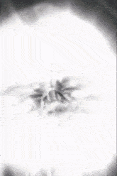 a black and white photo of a clock face with a few numbers on it