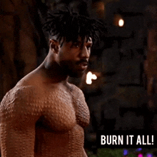 Killmonger Burn It All GIF - Killmonger Burn It All GIFs