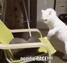 Oomfie Rage GIF - Oomfie Rage Cat GIFs