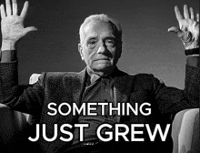 a man in a suit is sitting in a chair with his hands up and the words something just grew below him