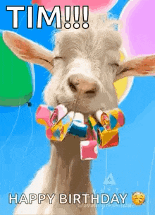 a goat is holding balloons in its mouth and says `` happy birthday tim ! ''