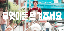 a man is walking two small dogs on a leash in a city street